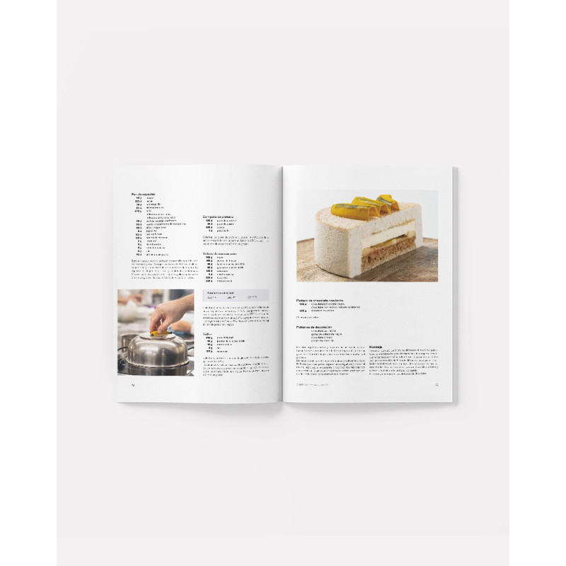 Arte Heladero 217. Ice cream magazine. Ice cream recipes